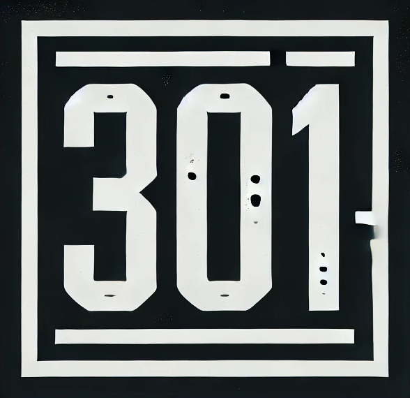 301.Pro Logo